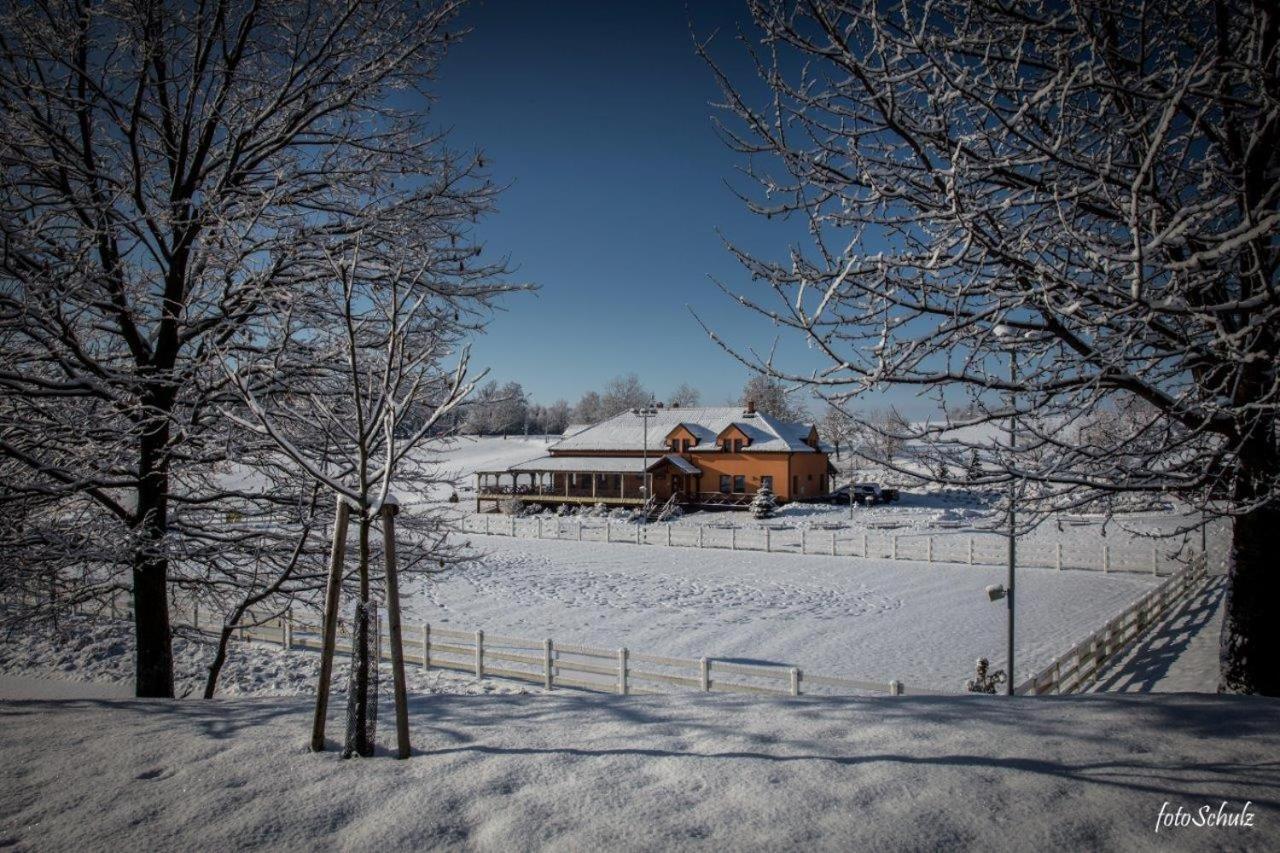 Hotel Horse Riding - Jezdecky Areal Tršice エクステリア 写真