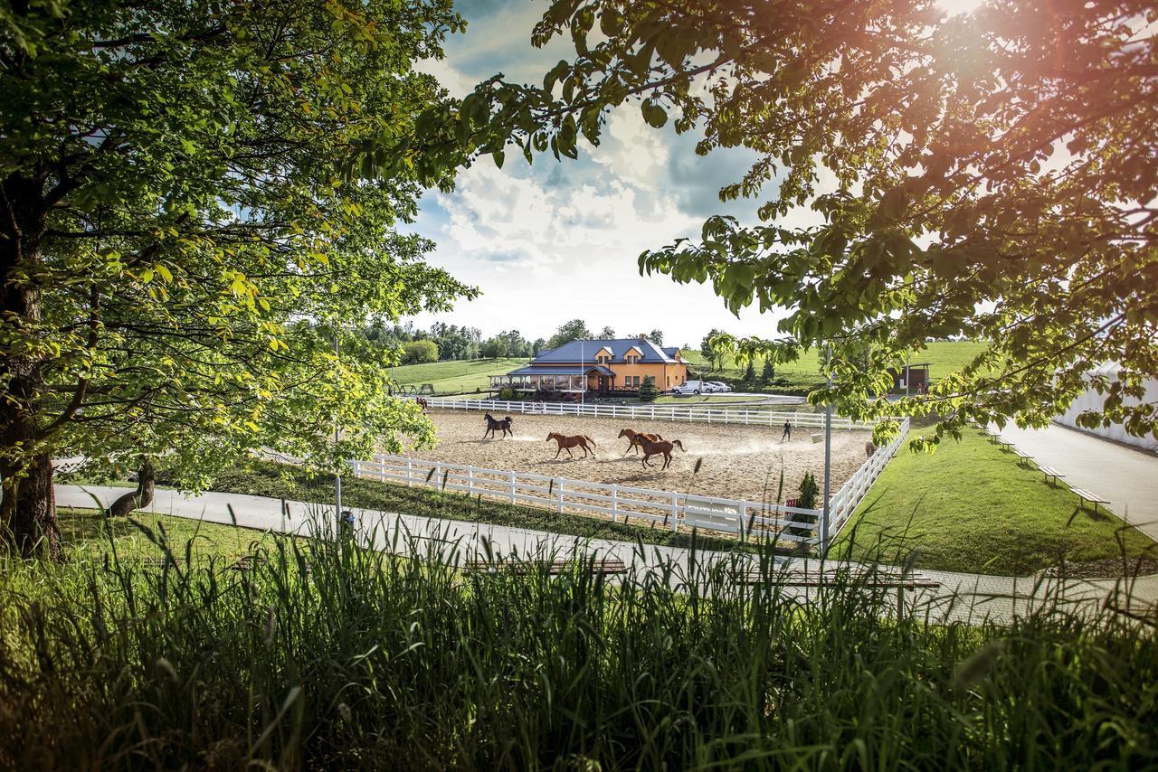 Hotel Horse Riding - Jezdecky Areal Tršice エクステリア 写真