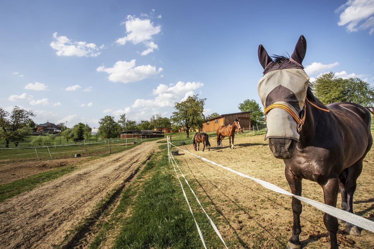 Hotel Horse Riding - Jezdecky Areal Tršice エクステリア 写真