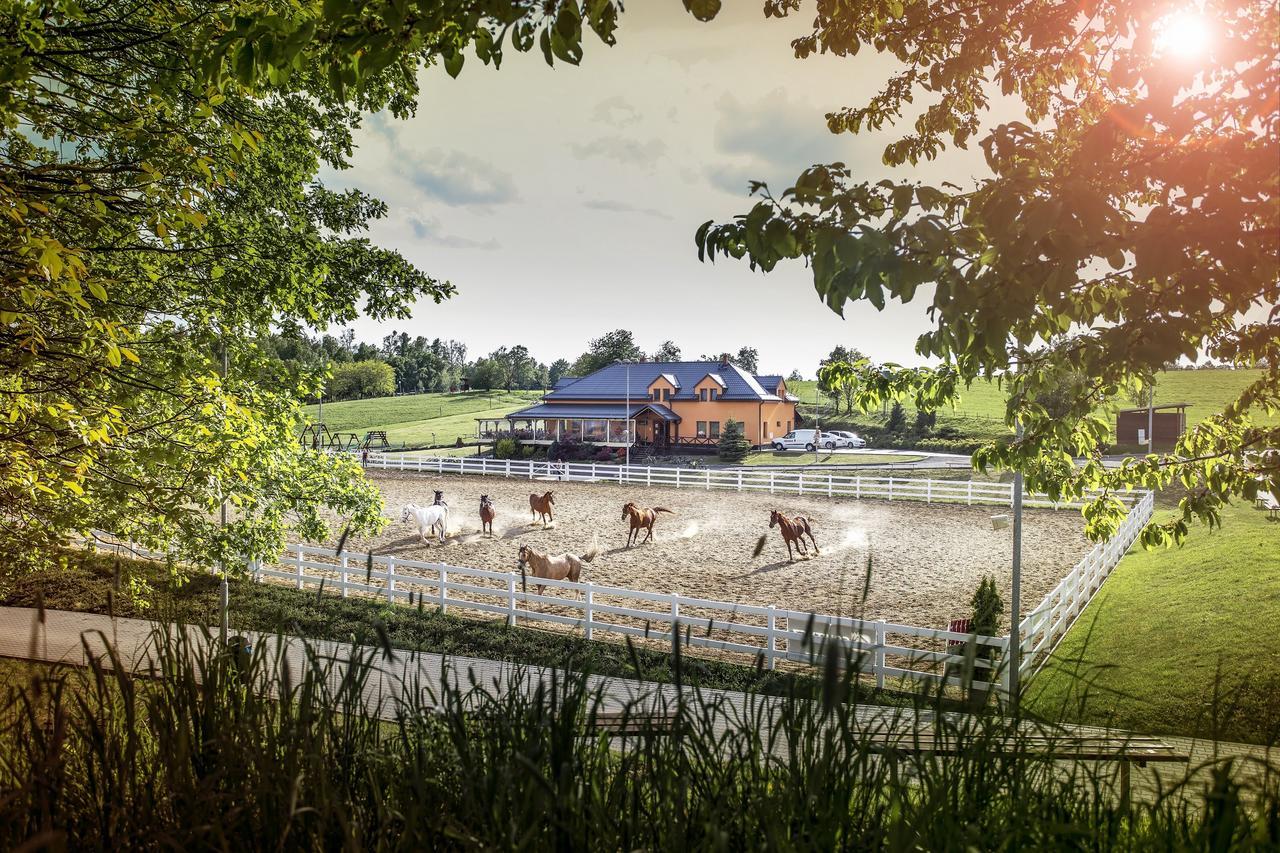 Hotel Horse Riding - Jezdecky Areal Tršice エクステリア 写真