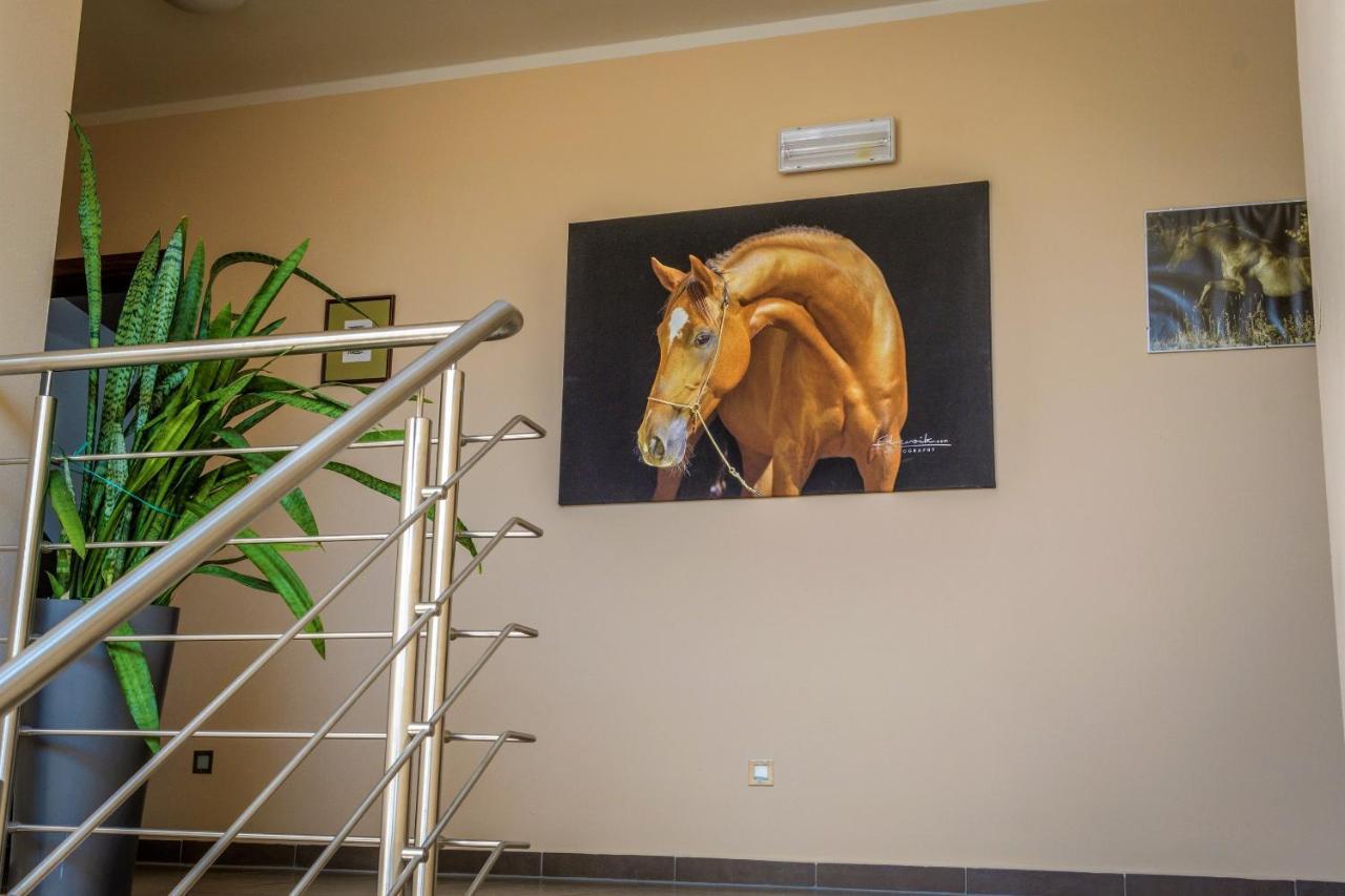 Hotel Horse Riding - Jezdecky Areal Tršice エクステリア 写真